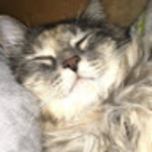 Meet your Posher, Elena